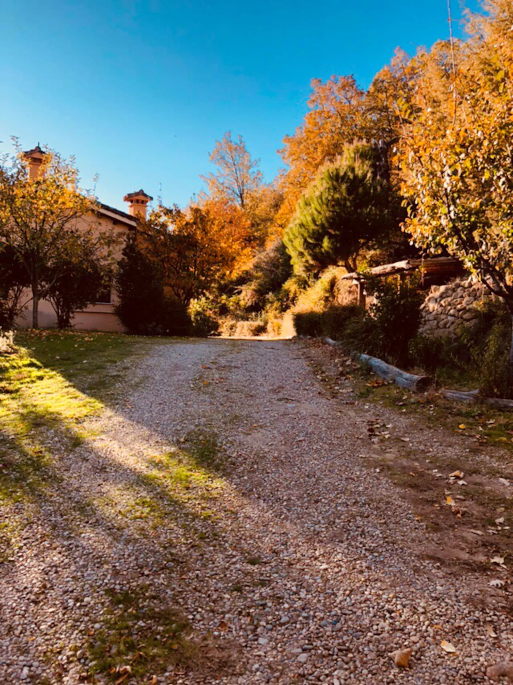 Finca El Cuartón en Candeleda, foto 6