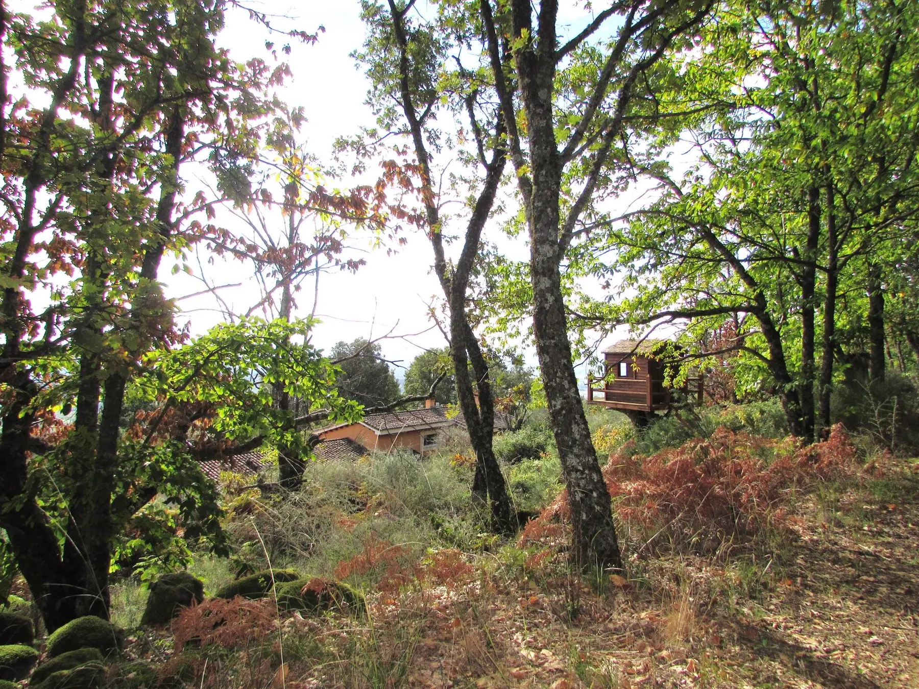 Finca El Cuartón en Candeleda, foto 7