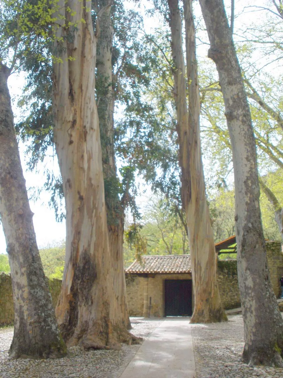 Monasterio de San Jerónimo de Yuste en Cuacos de Yuste, Cáceres