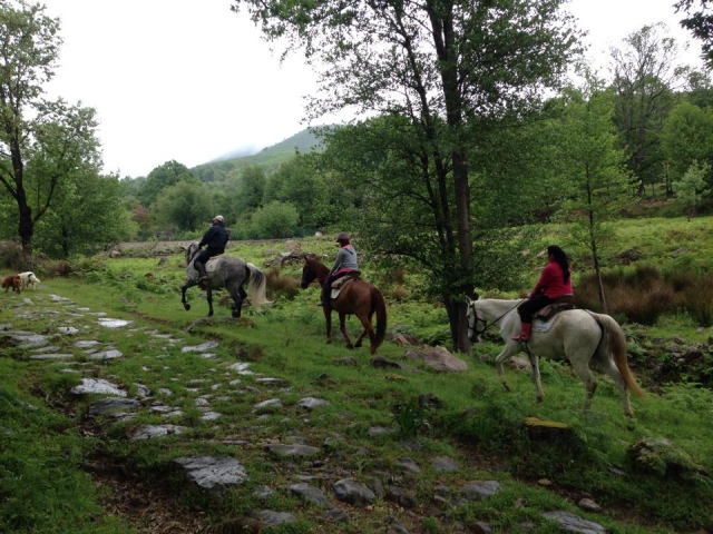 Ruta a caballo por el entorno de Chilla y la Peña del Toro, en Candeleda